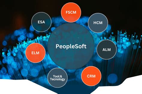 what is peoplesoft developer