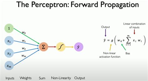 what is perceptron algorithm used for