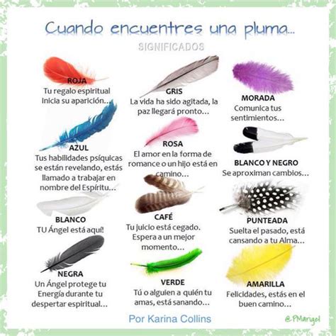 what is peso plumas fav color