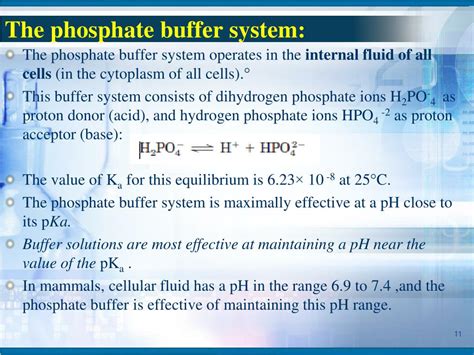What Is Phosphate Buffer
