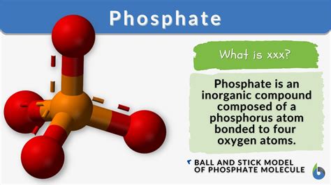 what is phosphate in simple terms