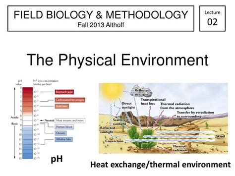 what is physical environment and examples