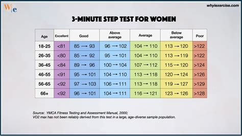 What Is Physically Fit Test