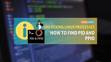 what is pid and ppid