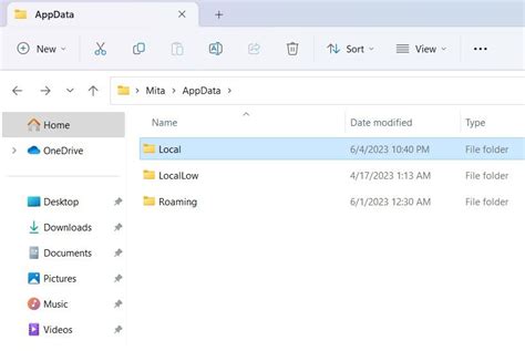 what is pip file in appdata
