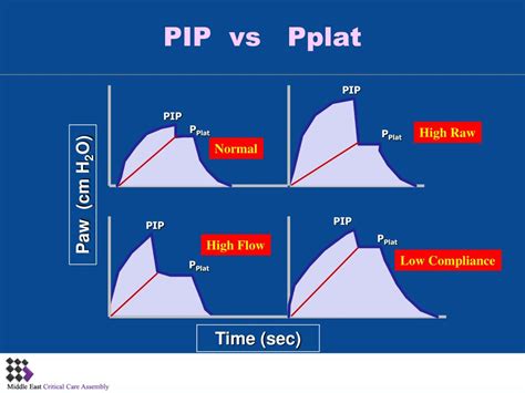 What Is Pip In Mechanical Ventilation