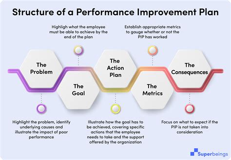 what is pip in project management