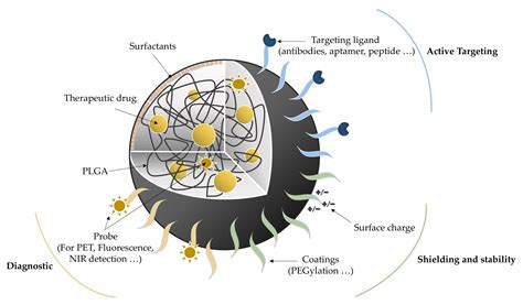 what is plga nanoparticles