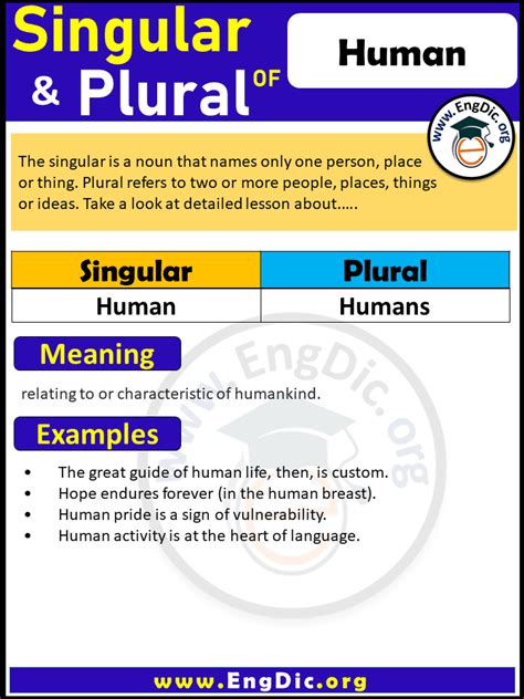 What Is Plural For Human
