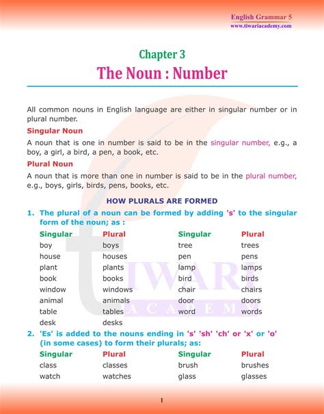 what is plural number in grammar