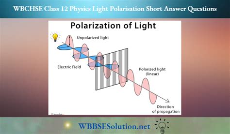 what is polarisation of light in physics class 12