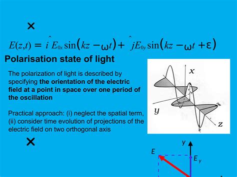 what is polarization in physics class 12