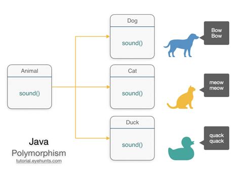 what is polymorphism java example