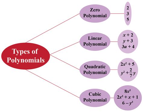 what is polynomial in one variable class 10