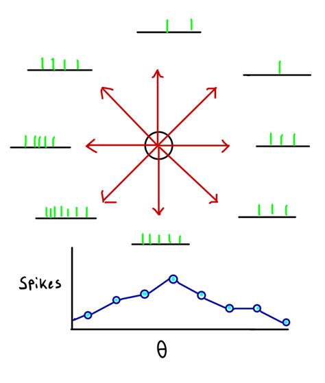 what is population coding