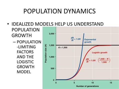 What Is Population Dynamics Model