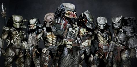 What Is Predators Name