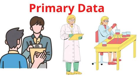what is primary data in quantitative research