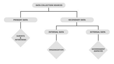 what is primary source of data class 11