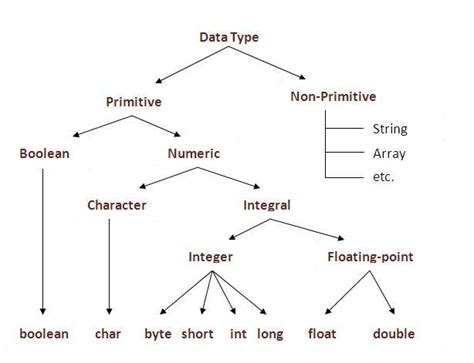 what is primitive and non primitive data type in java with example