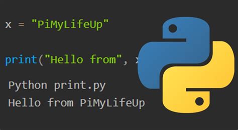 what is print command in python