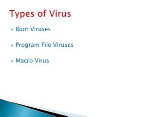 what is program virus class 7