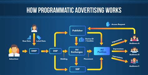 what is programmatic