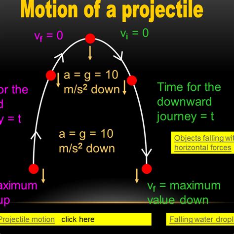 what is projectile motion in physical science