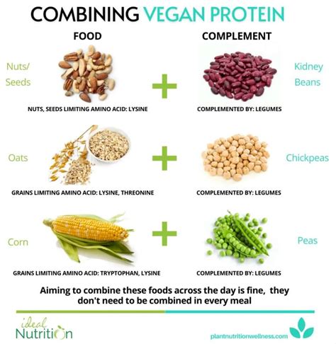 what is protein complementation and examples