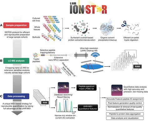 what is protein quantification