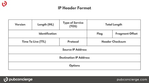 what is protocol field in ip header