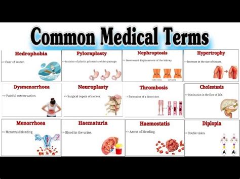 what is pse in medical terms