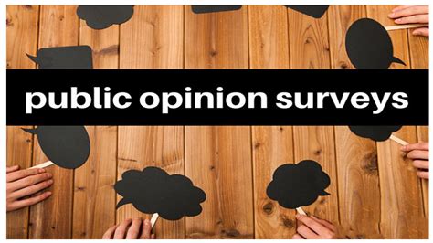 what is public opinion survey