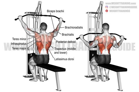 What Is Pull Down Exercise