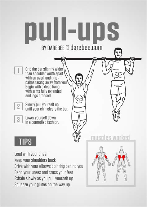 What Is Pull Up Bar Exercises
