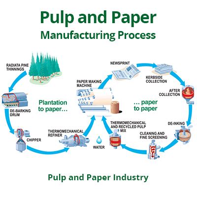 what is pulp and paper technology