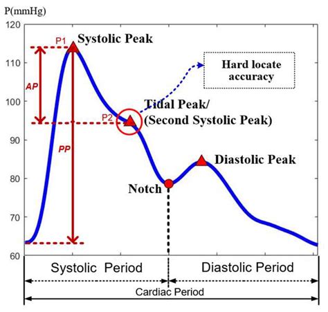 What Is Pulse Wave Analysis