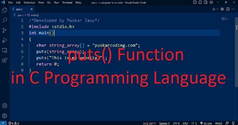 what is puts function in c