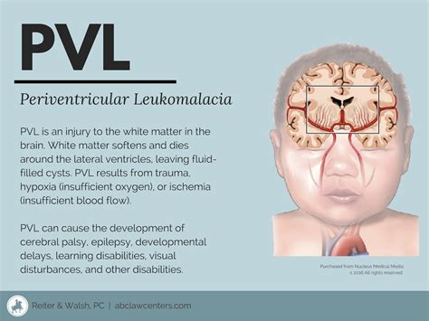 what is pvl medical term
