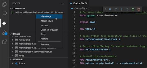 What Is Python Container