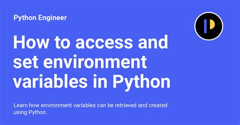 what is python environment variables