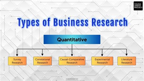what is quantitative and research methods in business