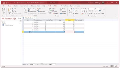 what is query and report in ms access