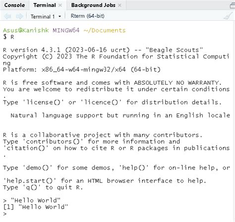 what is r programming syntax