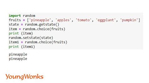 what is random state in python