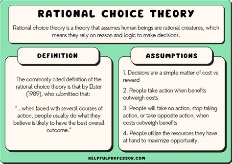 what is rational choice theory example