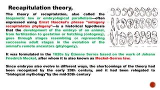What Is Recapitulation Theory
