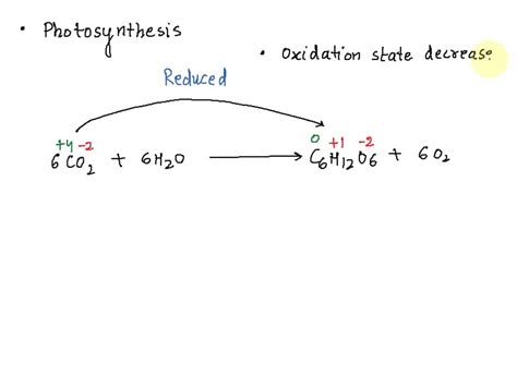 photosynthesis The process of photosynthesis carbon fixation and