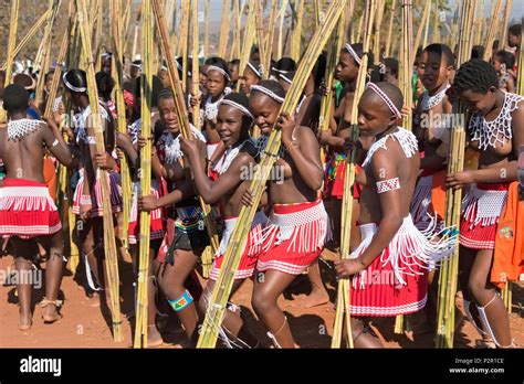 What Is Reed Dance