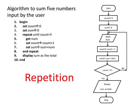 what is repetition in algorithm